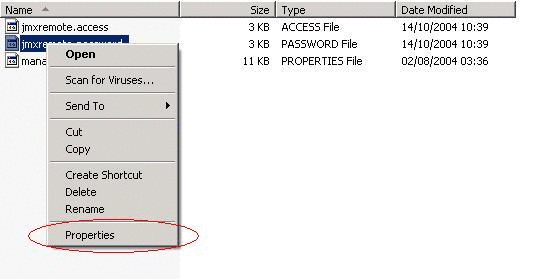 Displaying the jmxremote.password file properties