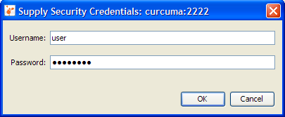 JMX connector security credentials.